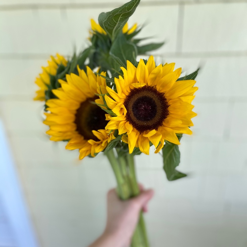 Meet your Posher, Erin